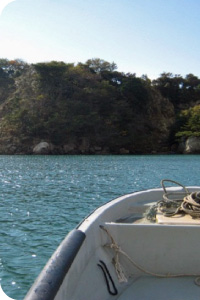 海